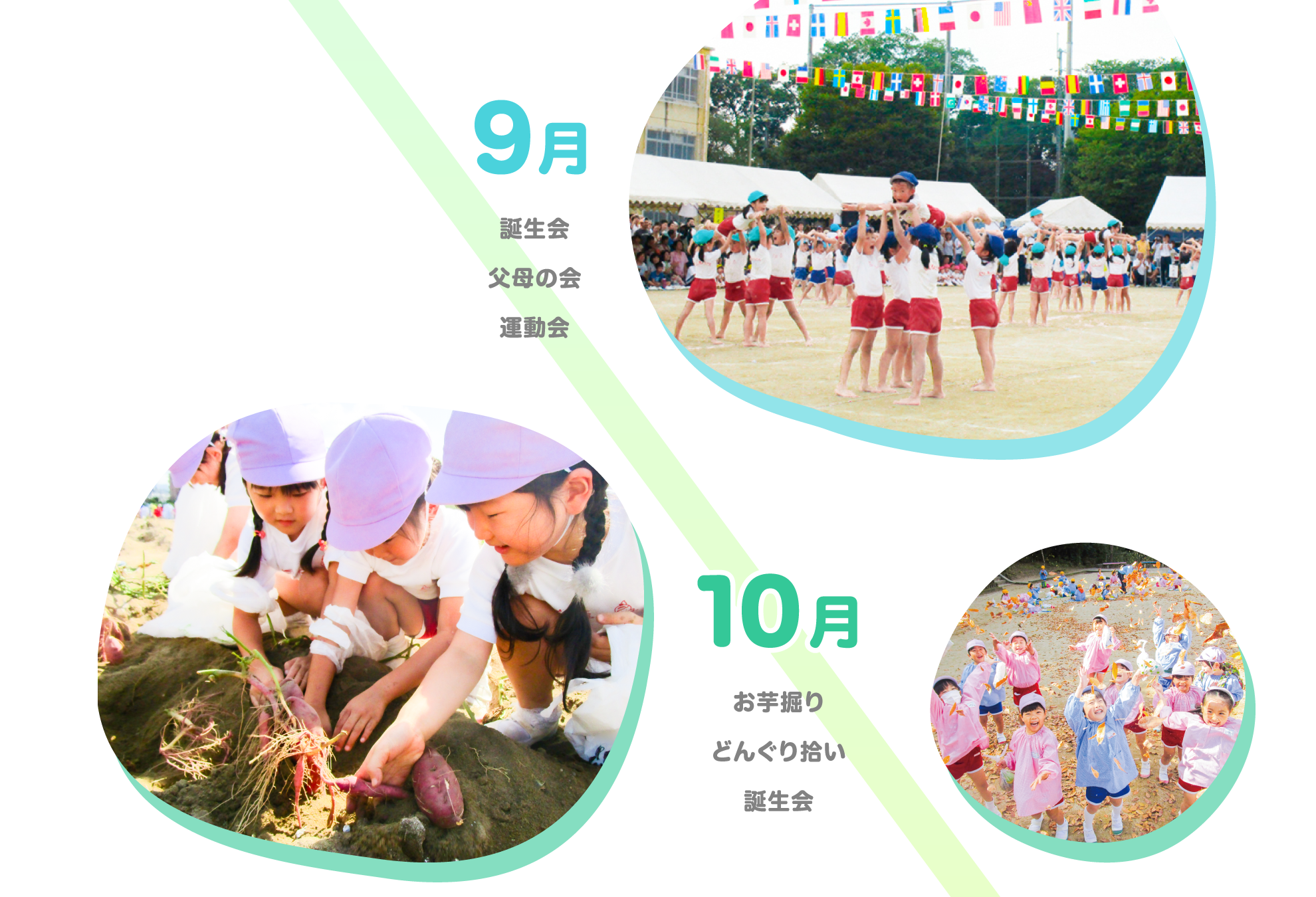 【9月】誕生会/父母の会/運動会 【10月】お芋掘り/どんぐり拾い/誕生会